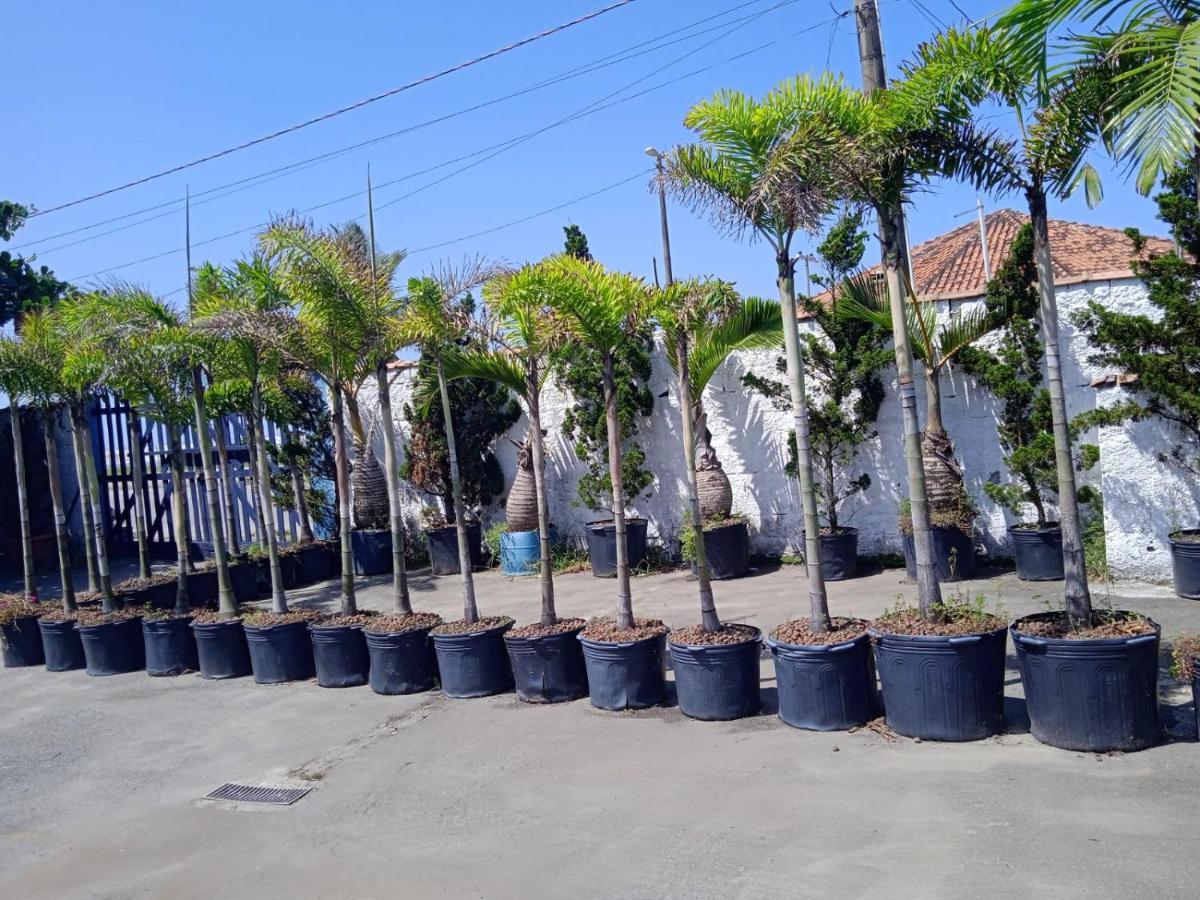 Pousada Sereia Jofisa Itanhaém Εξωτερικό φωτογραφία